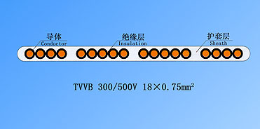 ���늚�TVVB��о���Ў����α��������|