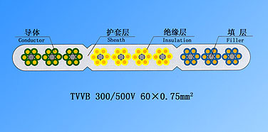 TVVB�g�������б��������|